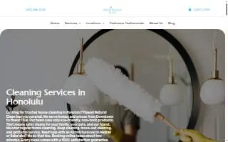 Hawaii Natural Clean of Honolulu website