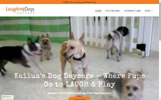 Laughing Dogs Daycare website
