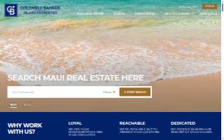 Buy or Sell Maui Real Estate - Agent Roger Pleski R(S)