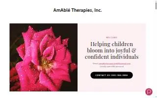 Amanda Nichols, iHome Realty website