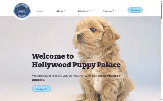 Hollywood Puppy Palace