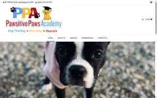 Pawsitive Paws Academy website