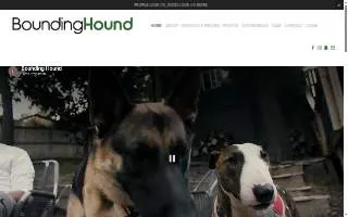 Bounding Hound website