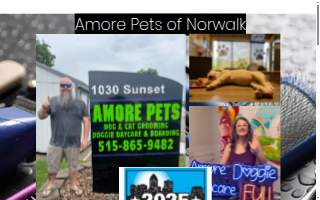 Amore Pets