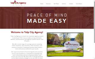 Tulip City Agency Ltd.