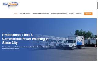 Pro Clean Mobile Wash