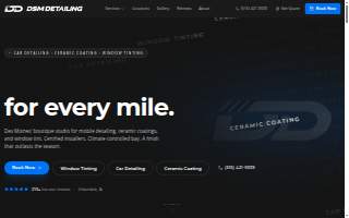 DSM Detailing