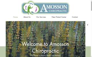 Amosson Chiropractic