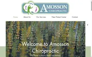 Amosson Chiropractic website