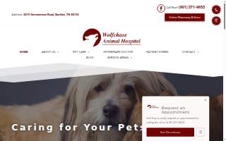 Wolfe Audiology