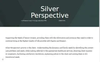 Silver Perspective website