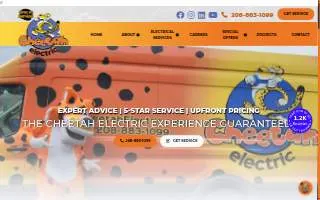 Cheetah Electric website