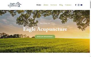 Eagle Acupuncture