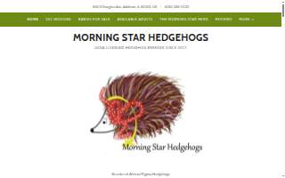 Morning Star Hedgehogs - Hedgehog Breeder in Illinois