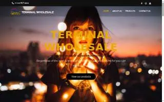 Terminal Wholesale website