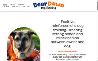Bear Down Dog Training LLC