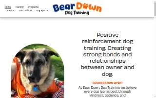 Bear Down Dog Training LLC of Bensenville website