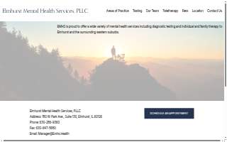 Elmhurst Mental Health Services, PLLC