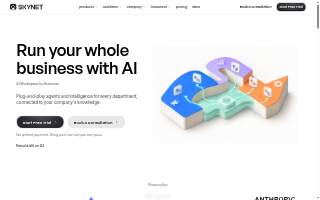 Skynet Security Systems website