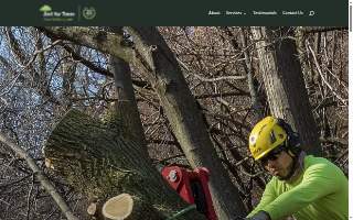 Just For Trees