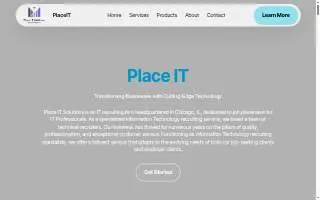 Place IT Solutions Inc website