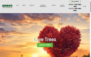 Absolute Tree Solutions of Buffalo Grove