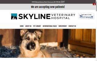 Skynet Security Systems