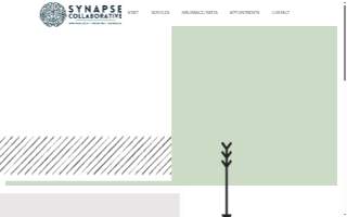 Synapse Collaborative of Carbondale