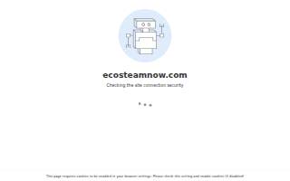 EcoSteam Now