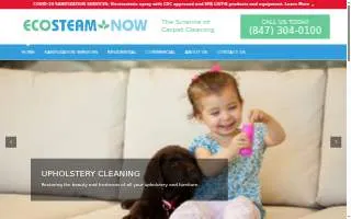 EcoSteam Now of Carpentersville website