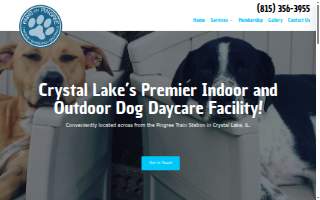 Paws on Pingree Dog Day Care Center