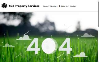 Chicago Landscapers