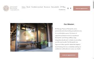 Chicago Physical Therapists