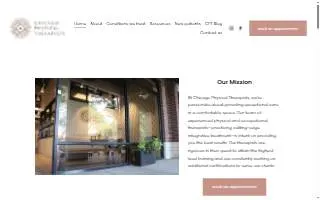 Chicago Physical Therapists website