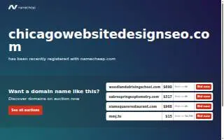 Chicago Website Design SEO Company website