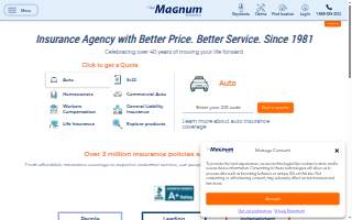 Magnum Insurance Agency of Chicago