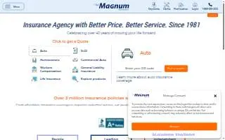 Magnum Insurance Agency of Chicago website