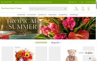 The Flower Shop of Chicago