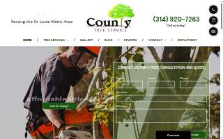 County Tree Service of Cicero