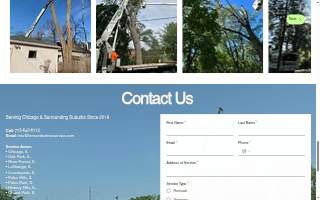 Fernandez Tree Service, Inc. of Cicero