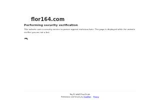 Flor164 b2b Creative Agency
