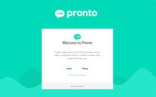 Pronto Auto website