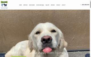 Tail Gate For Dogs of Elmhurst