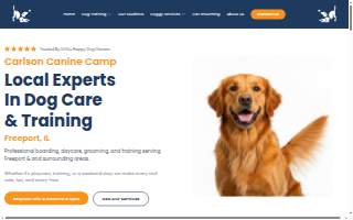 Carlson Canine Camp
