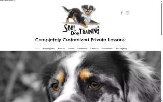 Soul Dog Training of Glen Carbon