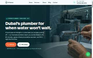 Plumber Near You LLC
