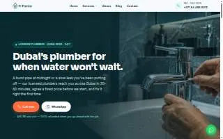 Plumber Near You LLC website