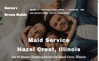 Cleaning service