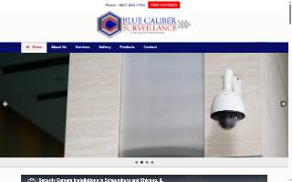 Blue Caliber Surveillance of Hoffman Estates