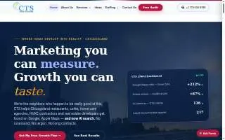 Chicago Tech Solution - Lake Forest website
